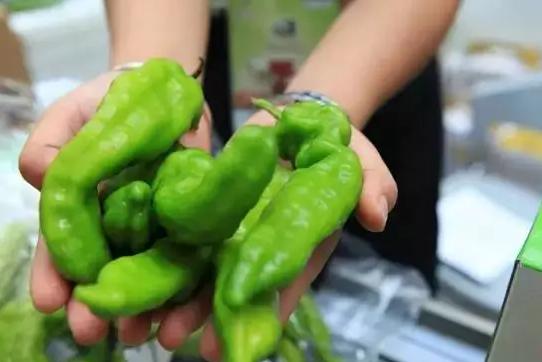 雙十一狂歡下，有機農(nóng)產(chǎn)品能否依然“好酒不怕巷子深”？